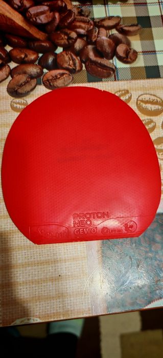 Fețe (ambele) paletă GEWO : Neoflexx eFT  și Proton Neo