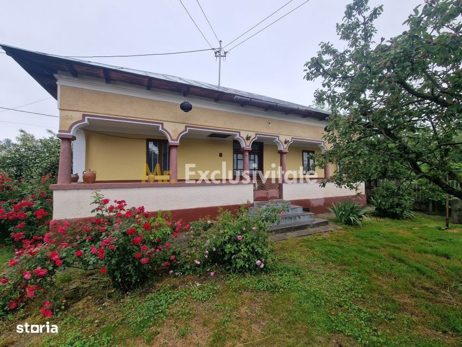 Gospodarie autentic romaneasca-Lunca Corbului, Ciesti!