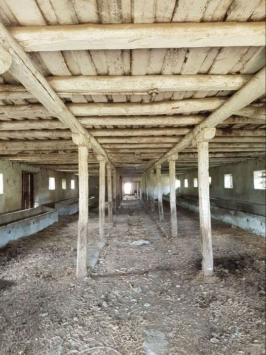 Grajd/Hală Banpotoc lângă Grădinile lui Zoe 53000euro