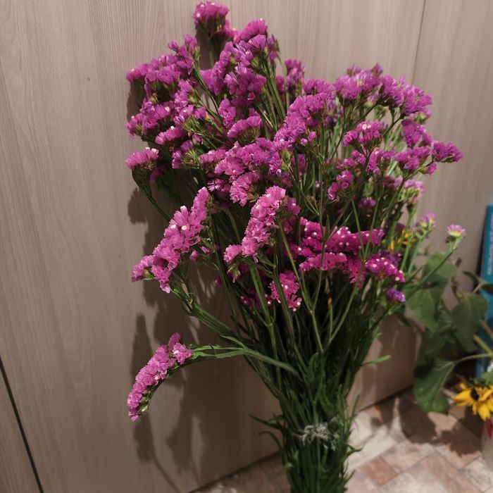 Цветы,  статица, свежая срезка
