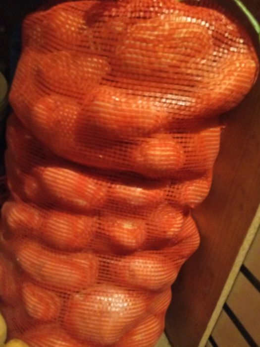 Картошка картофель домашний урожай.