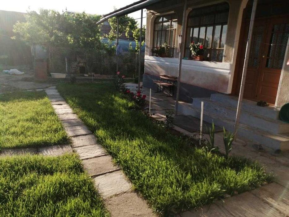 Casă + teren (6116 mp) Cucuieți, Verguleasa (Olt) – ideal locuință
