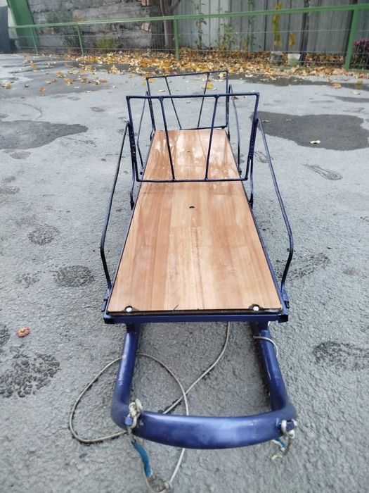 Санки двух местные