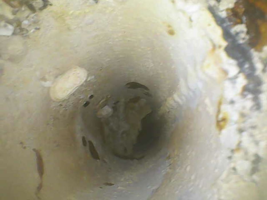 Эндоскоп, фото-видео, қызметі