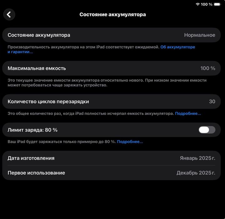 iPad 11 M3 256 GB Wi-Fi