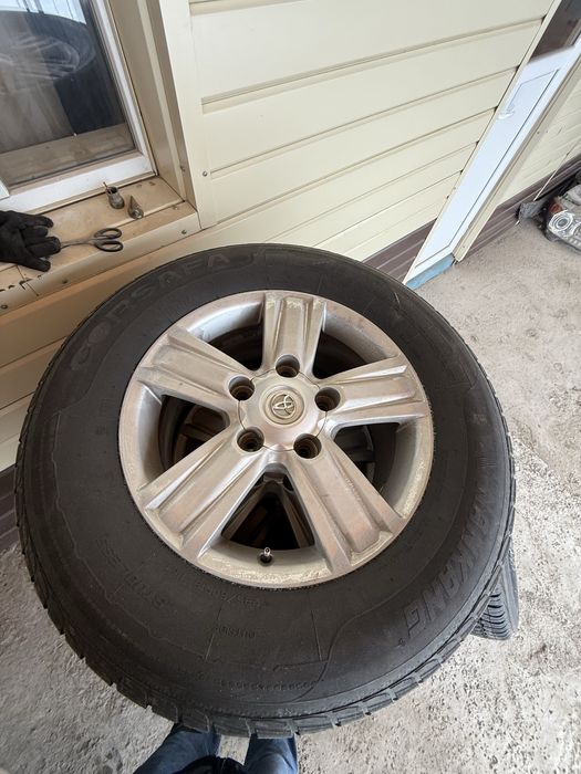 Диск С пакришкой Зимни