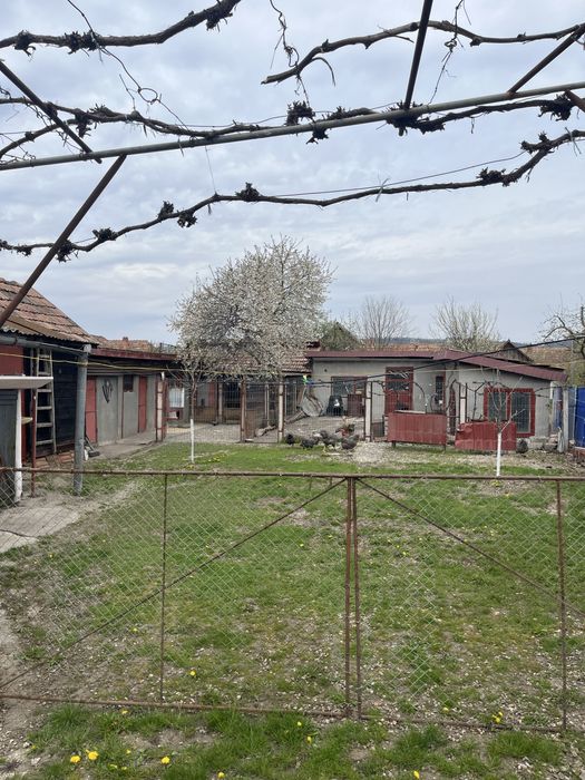 Casa de vanzare cu anexe