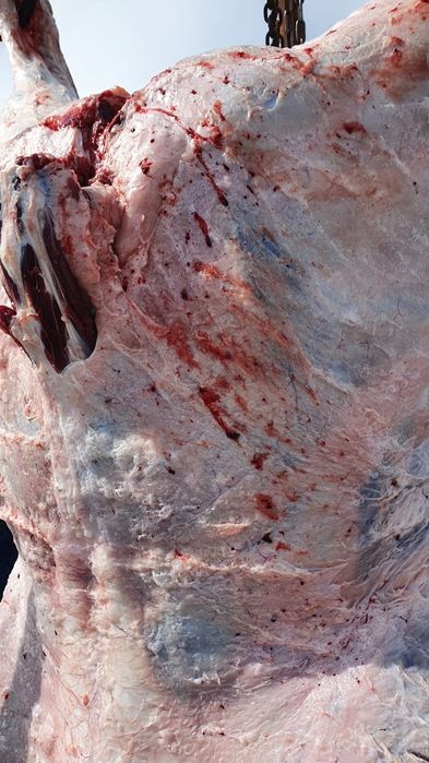 Жас тайыншалар тушалап сатылады