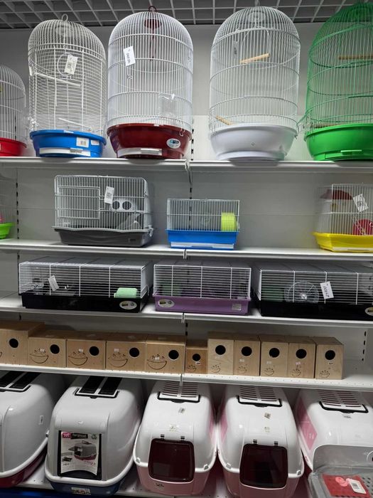 Грызуны в Зоомире