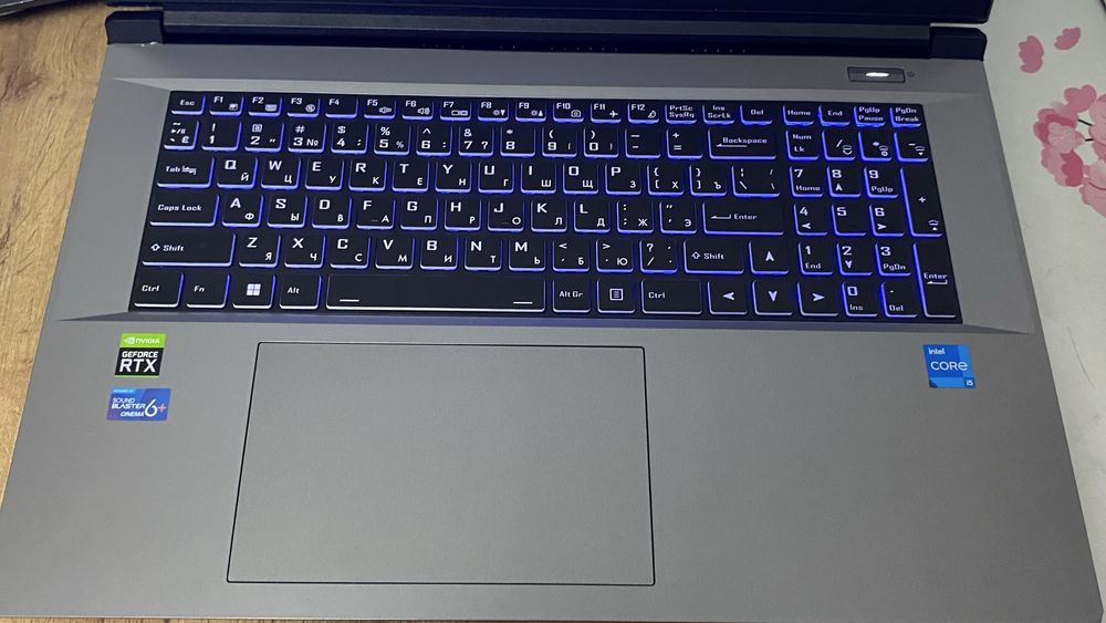 ThundeRobot 911 Plus x. Игровой ноутбук