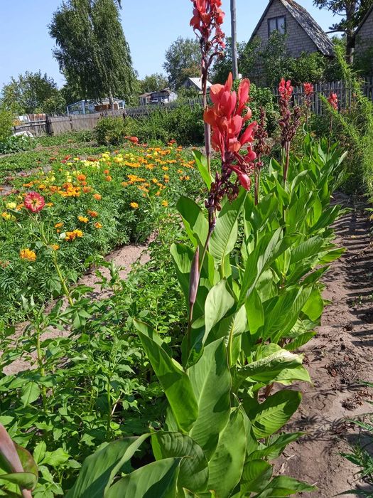 Продам дачный участок СТ Веснянка