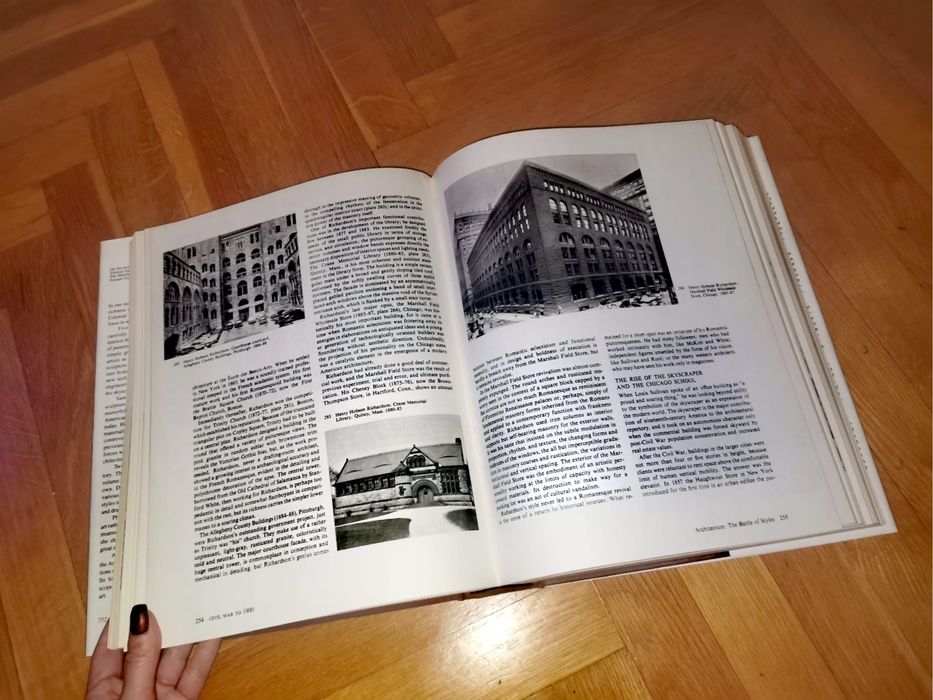 Книга Американско изкуство живопис скулптура архитектура фотография