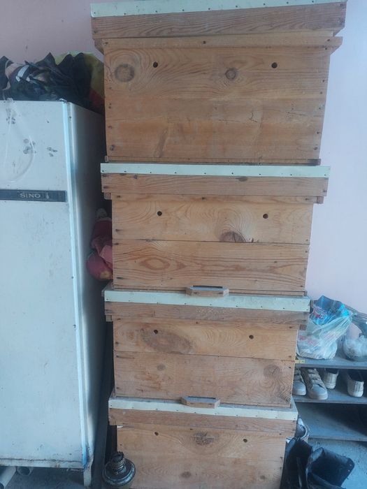 Асалари уялари сотилади