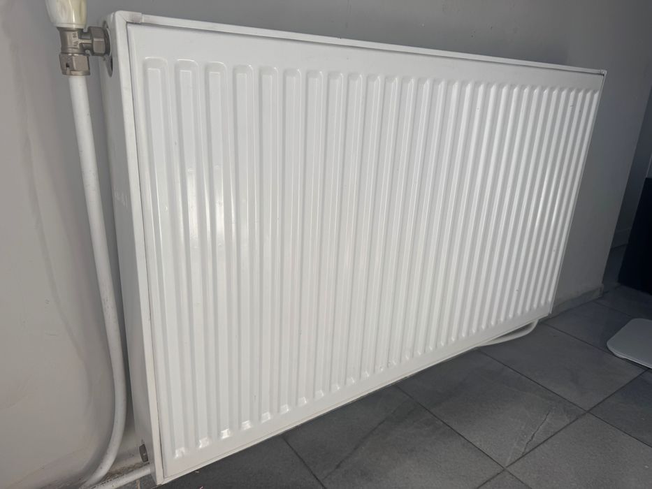 Радиатор за парно 100/60