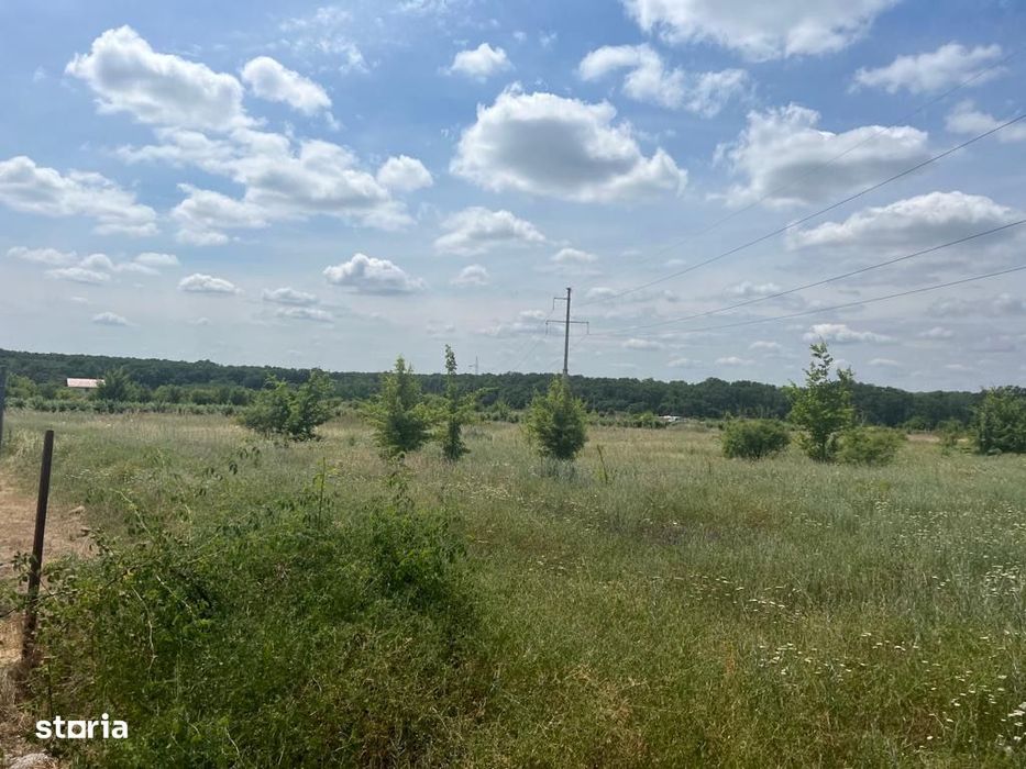 Vand Teren intravilan Branesti Str Violetelor 1036mp direct proprietar