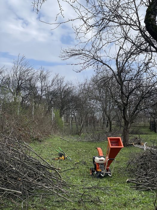 Servicii spații verzi – Baia Mare și împrejurimi