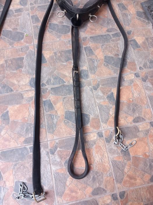 Două hamuri trăsură!