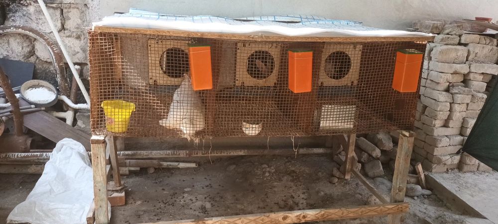 Куйон кафас сотилади 3хонали