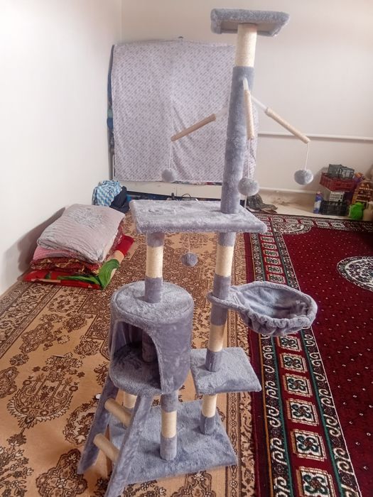 Мысықтың үйшігі.Домик для кошки..