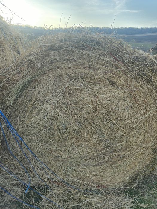 Vând urgent 40 de balotii din lucerna si fan