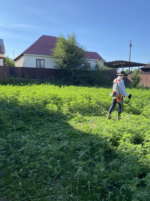Покос травы Услуги Тримера