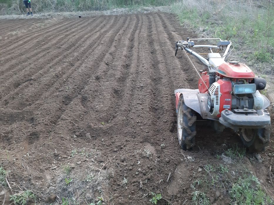 Продам мощный культиватор