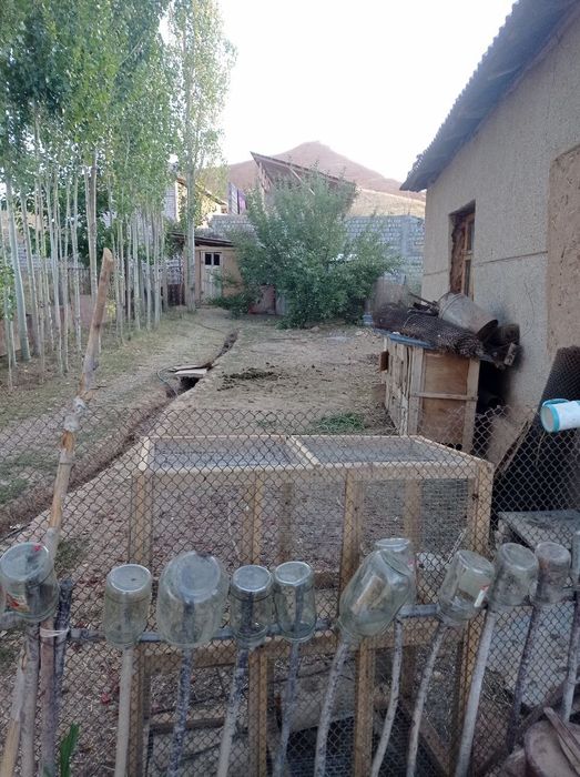 Ер ва уй срочно сотилади