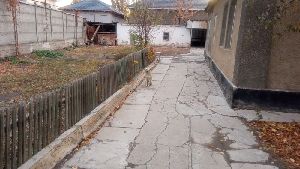 Уютный теплый ДОМ !