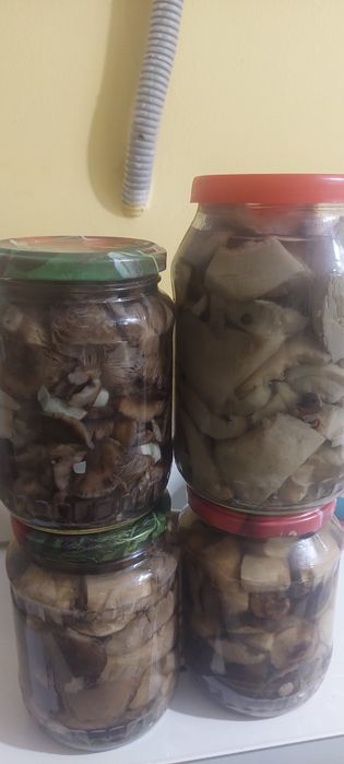 Грибы маринованные.