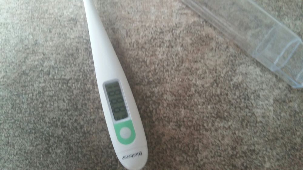 Градусник электронный, 1500 тг