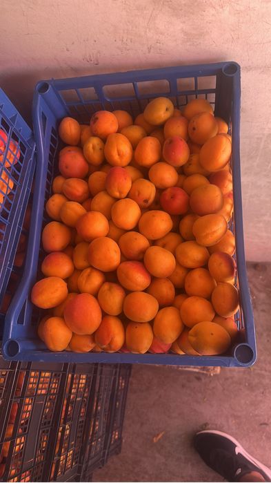 Vand caise  aromate