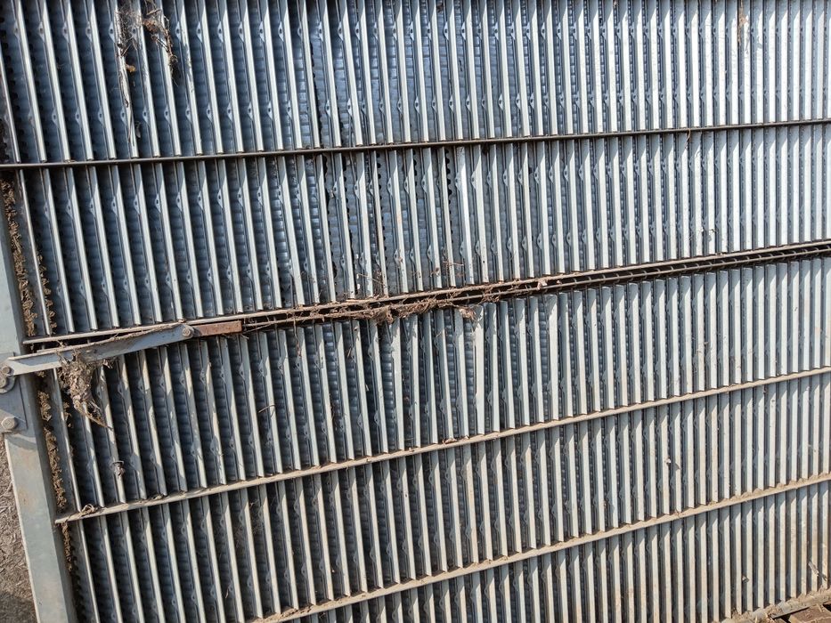 Sita mare sita mica porumb