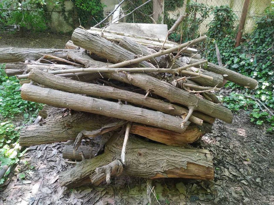 Дрова разного размера (тутовник)