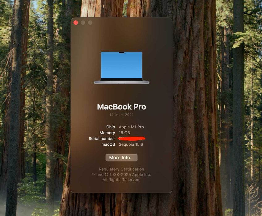 MacBook M1 PRO 2021 - 16gm RAM - 1TB - Silver