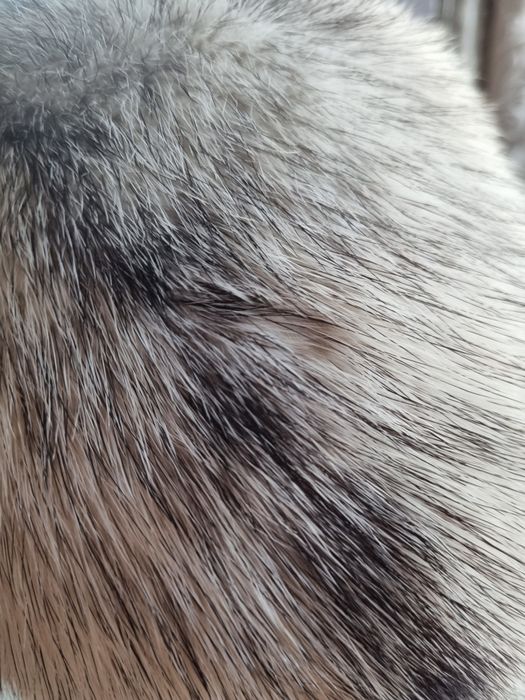 Продам Шапку норковую