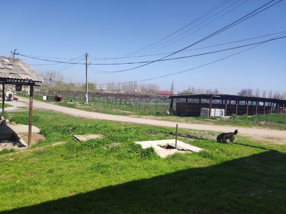 Продам территория под произвотства склад логистику 4.64 гектара