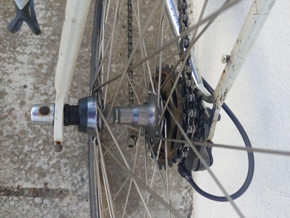 Cursiera colnago