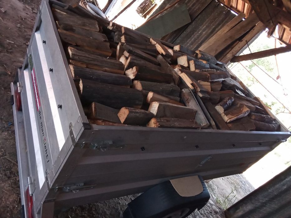 Сухи дърва за огрев