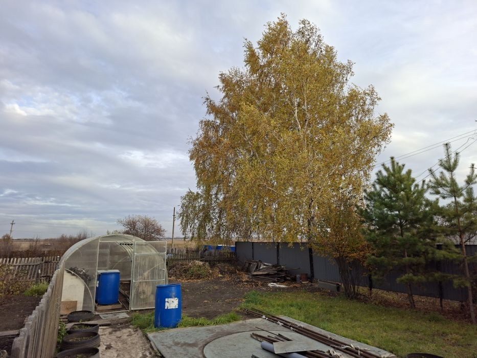 Продам дачу в Ромашке