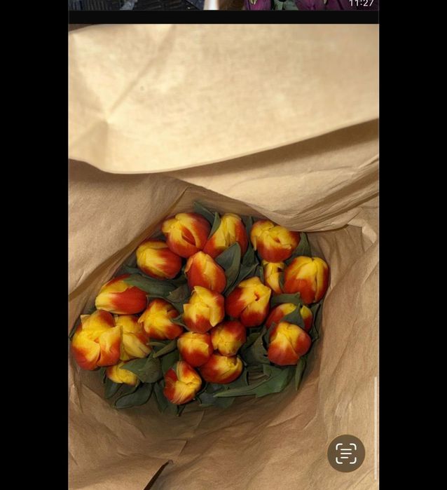 Тюлпаны свежие с луковицами оптом 24/7