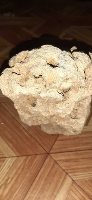 Уникальный исторический камень со дна моря