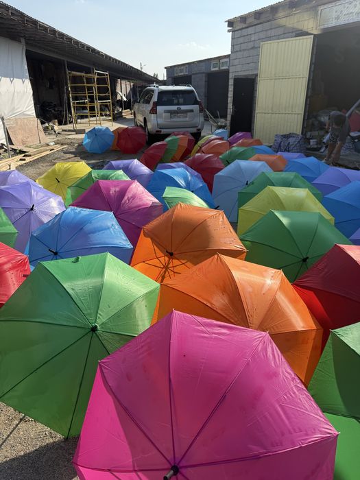 Зонты ярких цветов