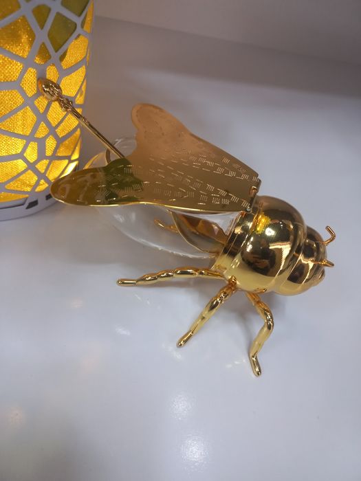 Asal solish uchun maxsus asal idish