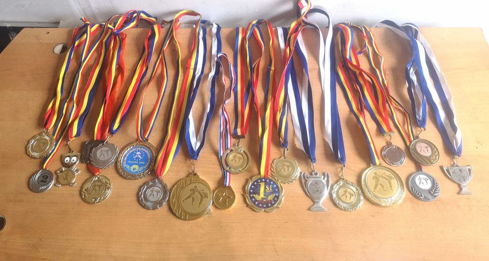 Medalii sportive arte martiale