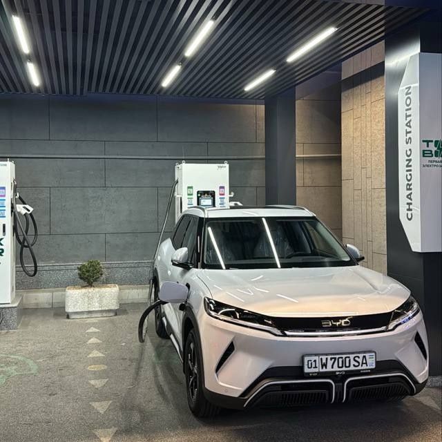 Byd yuan up Garantali 8 yil