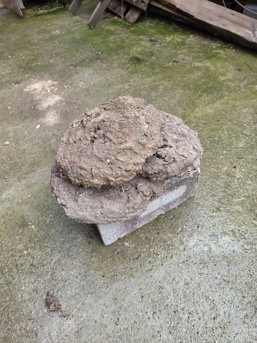 Тезек, таппи, отын, шырпы