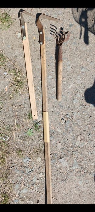Продам семена укропа...