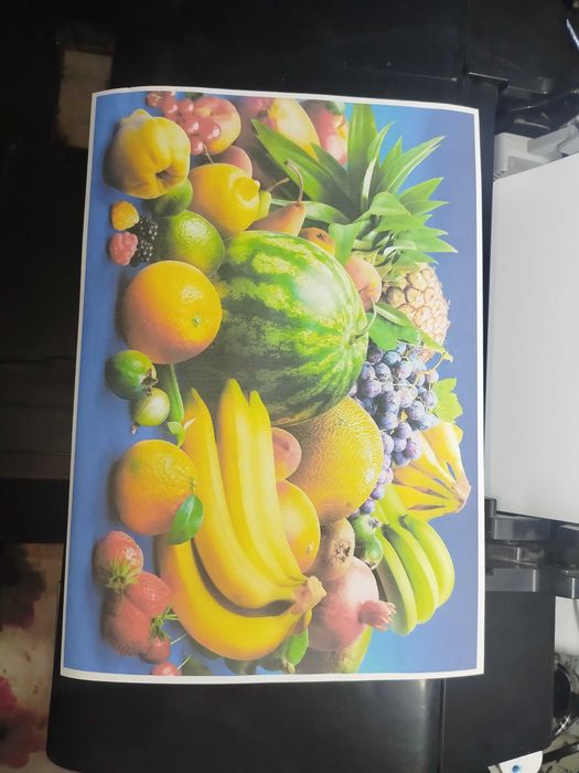 Epson L805  wi fi Ranglik printer