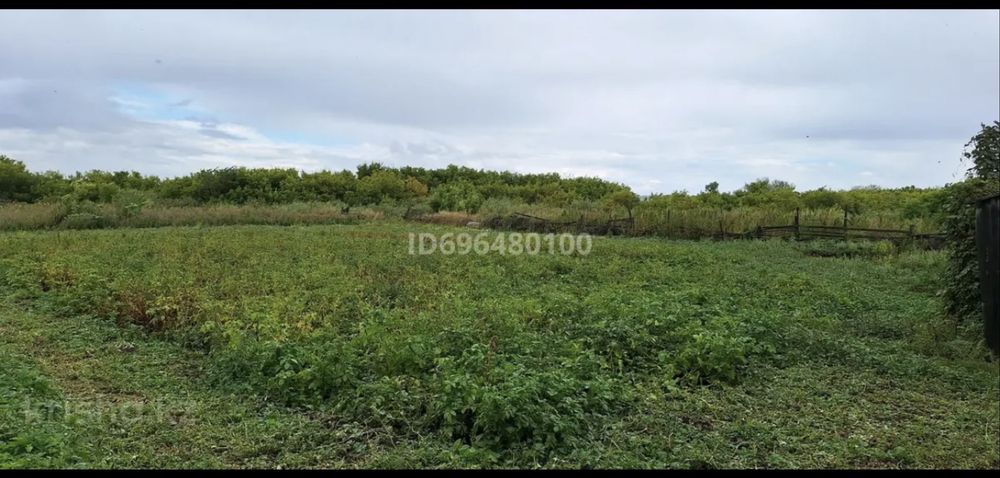 Срочно!!! П.Чаглинка(Шағылалы)