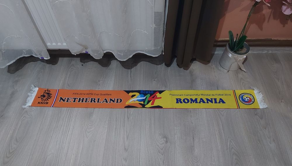 Fulare Poli Timisoara si Romania-Olanda 2014
